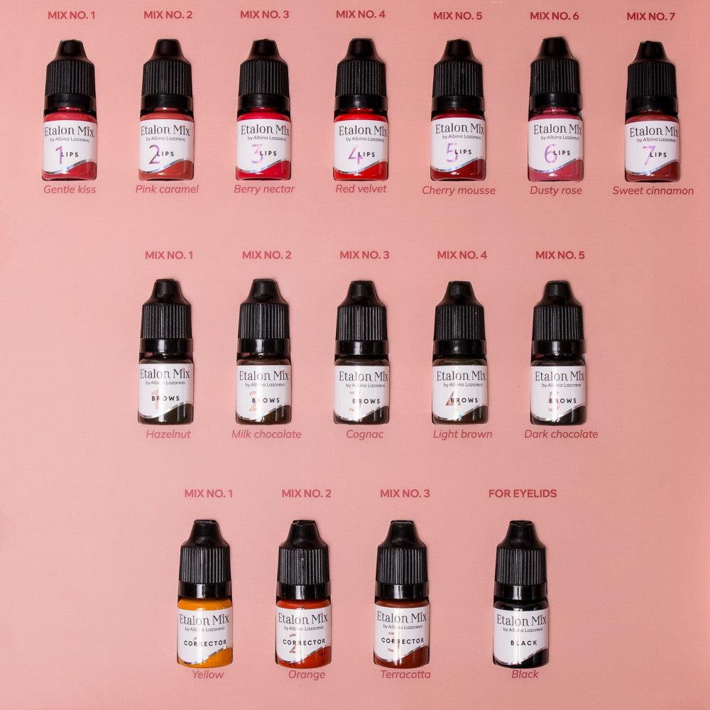 Etalon Mix Big Pigment Set By Albina Lazareva 16x5ml - BVShop