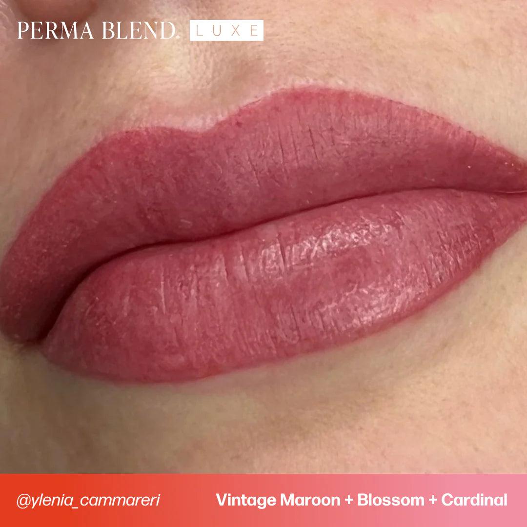 Perma Blend LUXE Vintage Maroon - BVShop