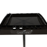 3-GABBIANO-3