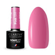 1-CLARESA-1