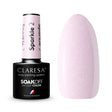 1-CLARESA-1