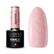 1-CLARESA-1