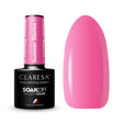 1-CLARESA-1