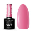 1-CLARESA-1