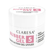 1-CLARESA-1