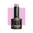 1-OCHO NAILS-1