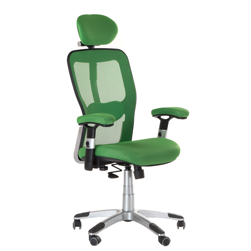 Fotel ergonomiczny CorpoComfort BX-4147 Zielony - BVShop