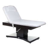 Massage chair electric BD-8263 in wenge - BVShop