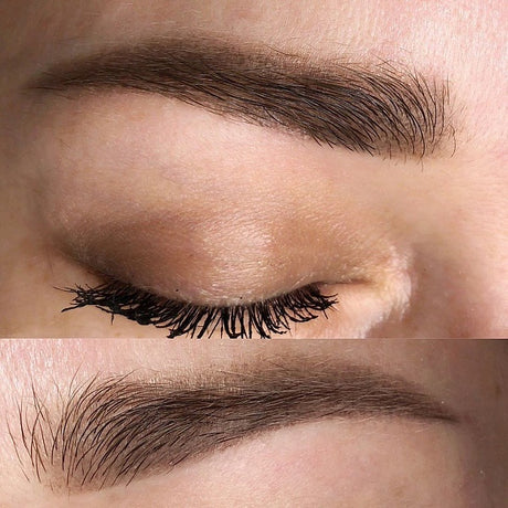 AS COMPANY Base (AS Pigments) 6/12ml - BVShop