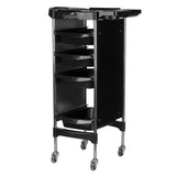Gabbiano hairdressing trolley fx11-2 black - BVShop