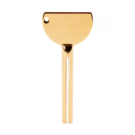 Paint squeezing key gold - BVShop