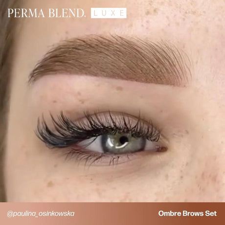 Perma Blend LUXE Osinkowska Ombre Brow Collection - BVShop