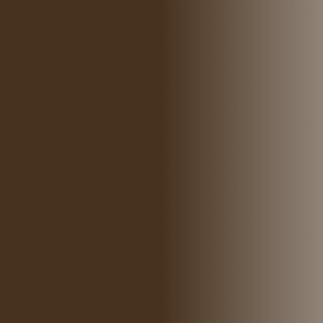 Swiss Color 715 Classic Brown Eyebrow Pigment - BVShop