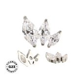 خاتم التيتانيوم بتصميم ماركيز مرتب