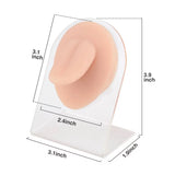 Tongue Piercing Silicone Model - BVShop